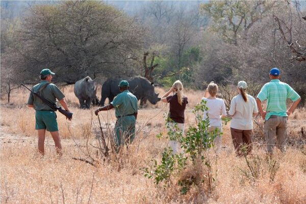 WALKING SAFARI